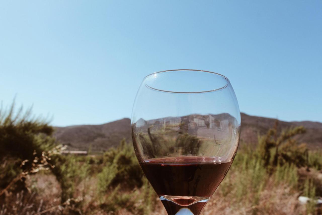Quintas Marlet En La Ruta Del Vino Ensenada Ngoại thất bức ảnh