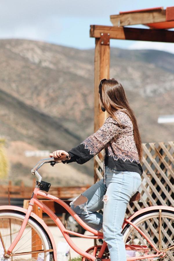 Quintas Marlet En La Ruta Del Vino Ensenada Ngoại thất bức ảnh