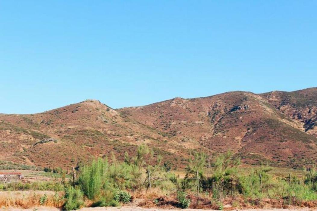 Quintas Marlet En La Ruta Del Vino Ensenada Ngoại thất bức ảnh